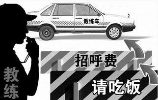 娱乐吃瓜酱驾校